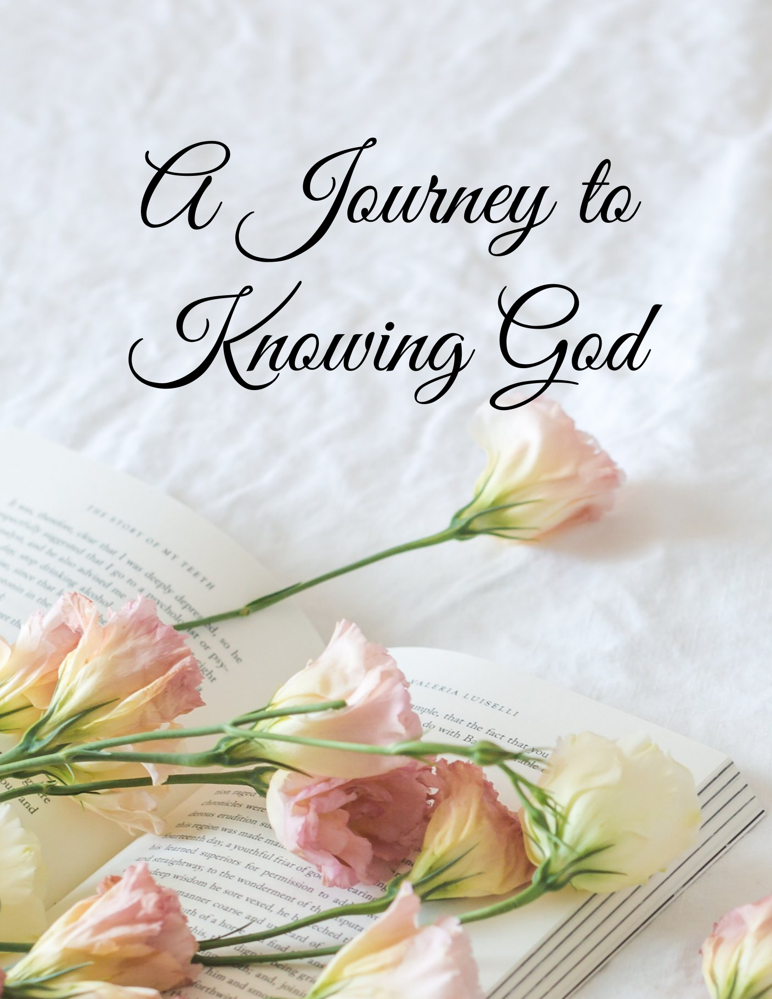 A Journey to Knowing God - Personal Bible Study Journal