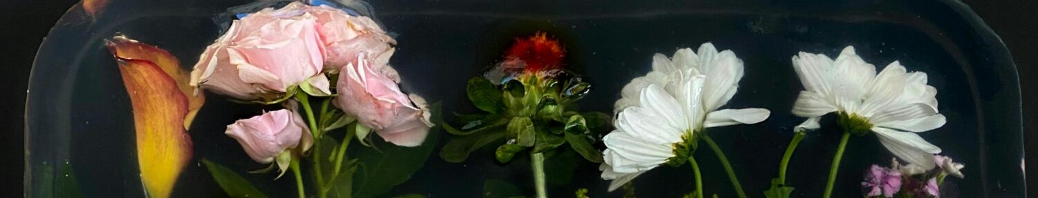 From above of composition of fresh blooming flowers in transparent epoxy resin placed on black surface