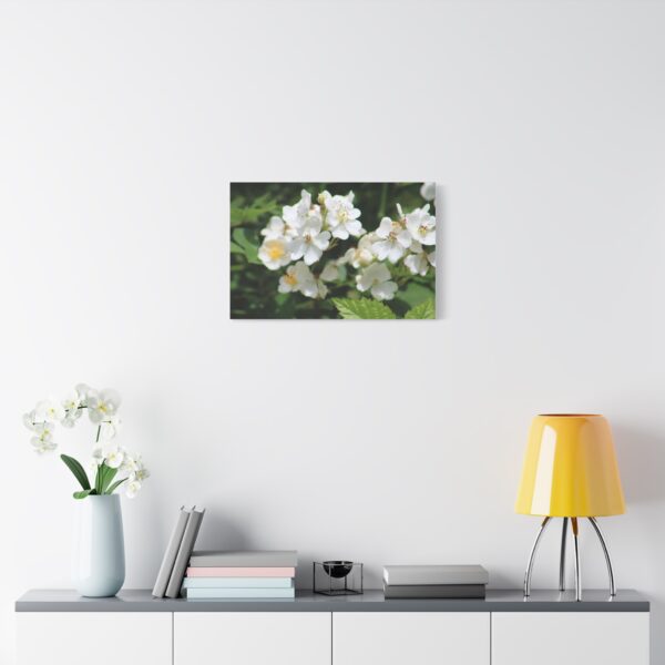 Botanical Wall Art, Floral Home Decor, White Flower Canvas, Stretched Canvas Print, Gift for Nature Lovers - Image 7