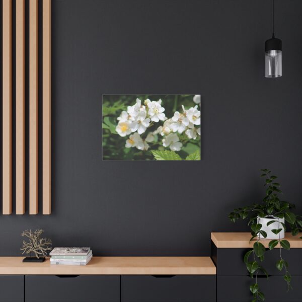 Botanical Wall Art, Floral Home Decor, White Flower Canvas, Stretched Canvas Print, Gift for Nature Lovers - Image 12