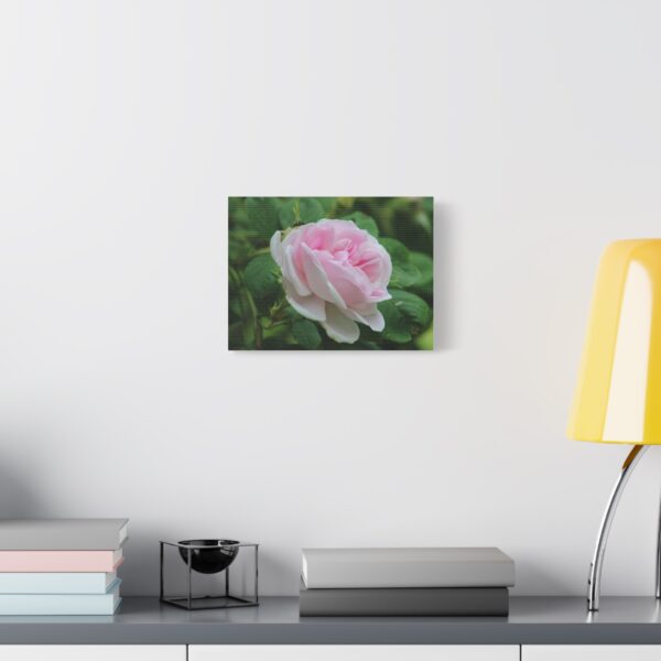 Floral Canvas Art Print, Beautiful Pink Rose, Wall Decor, Gift for Flower Lovers, Home Decoration, Living Room Art - Image 3