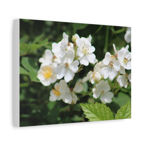 Botanical Wall Art, Floral Home Decor, White Flower Canvas, Stretched Canvas Print, Gift for Nature Lovers - Image 2