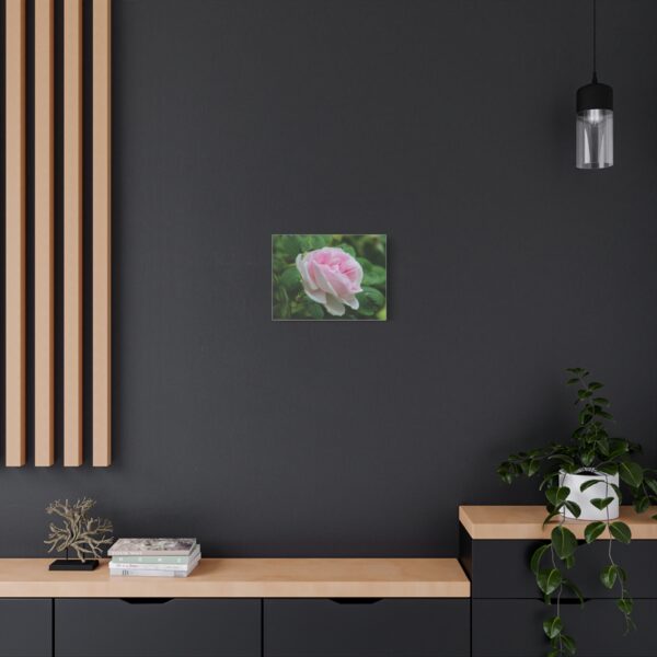 Floral Canvas Art Print, Beautiful Pink Rose, Wall Decor, Gift for Flower Lovers, Home Decoration, Living Room Art - Image 8