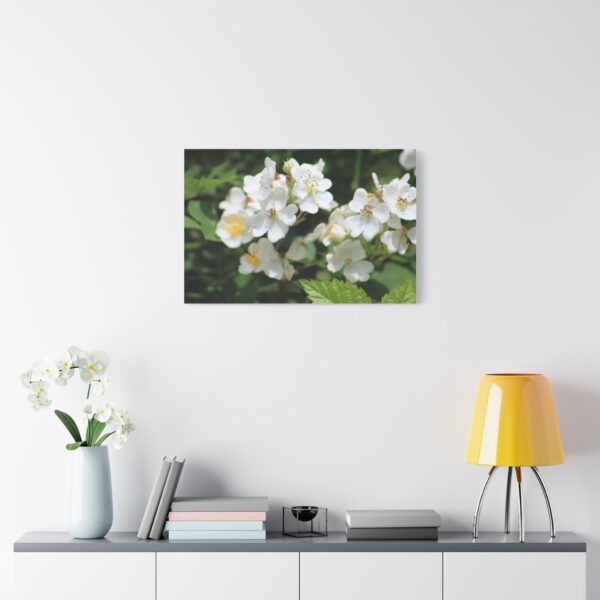 Botanical Wall Art, Floral Home Decor, White Flower Canvas, Stretched Canvas Print, Gift for Nature Lovers - Image 11