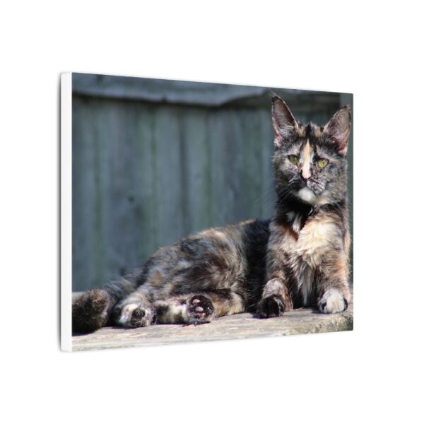 Cat Wall Art Print, Matte Canvas Decoration, Pet Lover Gift, Home Decor, Feline Artwork, Cat Lover Wall Decor - Image 2