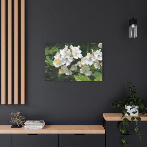 Botanical Wall Art, Floral Home Decor, White Flower Canvas, Stretched Canvas Print, Gift for Nature Lovers - Image 16