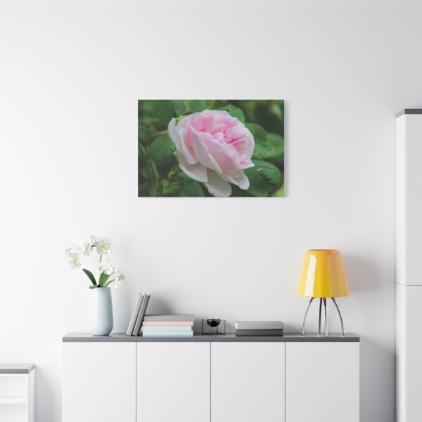 Floral Canvas Art Print, Beautiful Pink Rose, Wall Decor, Gift for Flower Lovers, Home Decoration, Living Room Art - Image 15