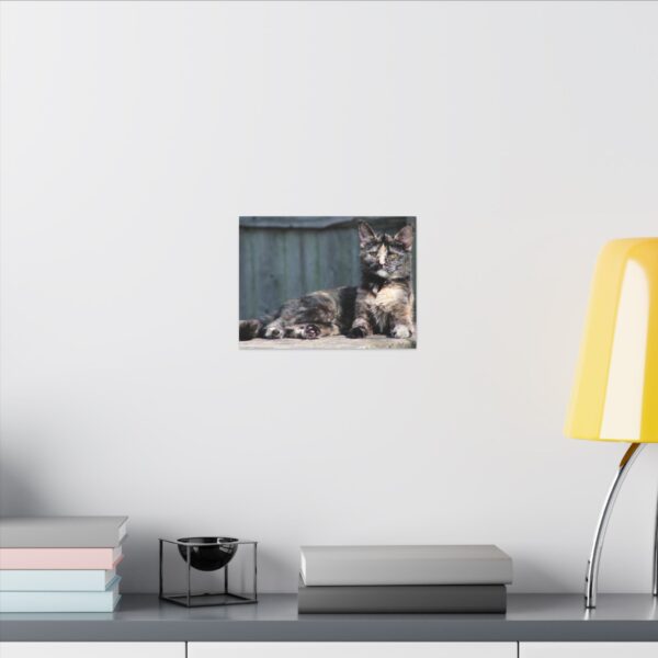 Cat Wall Art Print, Matte Canvas Decoration, Pet Lover Gift, Home Decor, Feline Artwork, Cat Lover Wall Decor - Image 4