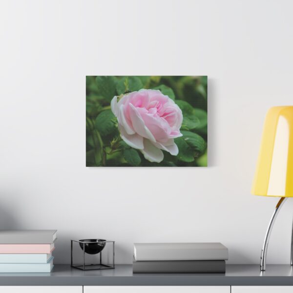 Floral Canvas Art Print, Beautiful Pink Rose, Wall Decor, Gift for Flower Lovers, Home Decoration, Living Room Art - Image 7