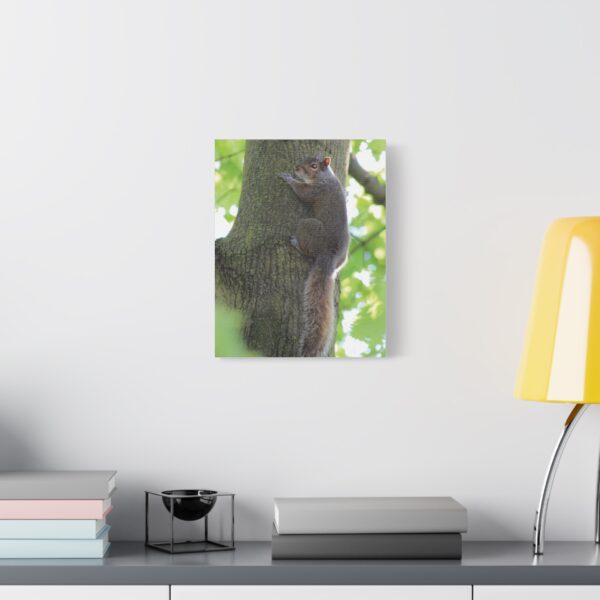 Squirrel Art Print, Nature Decor, Animal Photography, Wall Art, Home Decor, Gift for Animal Lovers, Woodland Theme - Image 3