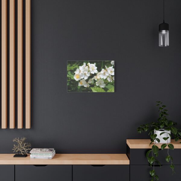 Botanical Wall Art, Floral Home Decor, White Flower Canvas, Stretched Canvas Print, Gift for Nature Lovers - Image 8