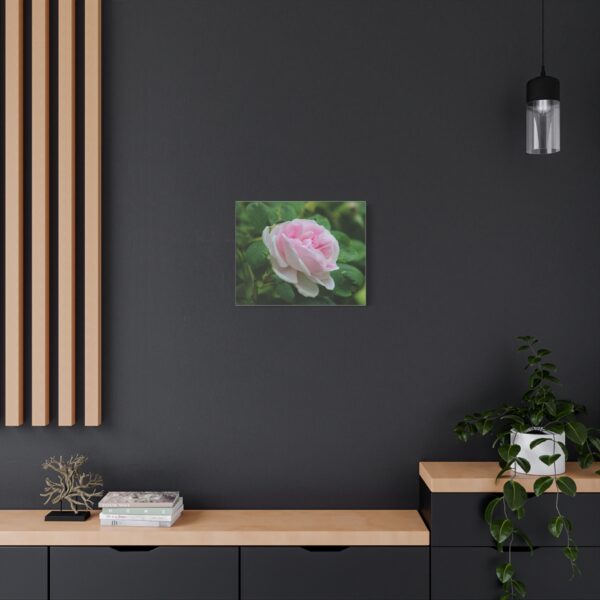 Floral Canvas Art Print, Beautiful Pink Rose, Wall Decor, Gift for Flower Lovers, Home Decoration, Living Room Art - Image 12
