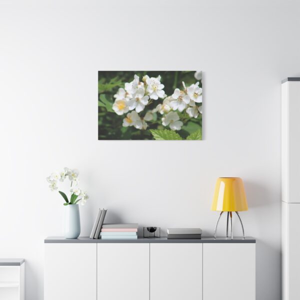 Botanical Wall Art, Floral Home Decor, White Flower Canvas, Stretched Canvas Print, Gift for Nature Lovers - Image 15