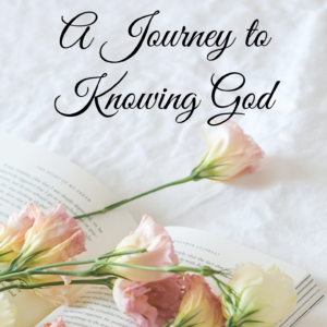 a journey to knowing god – guided bible study journal (80 pages)