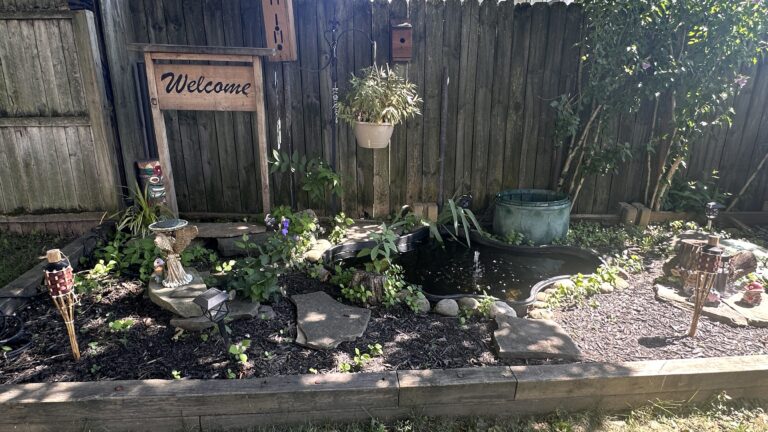 photo of a peaceful garden