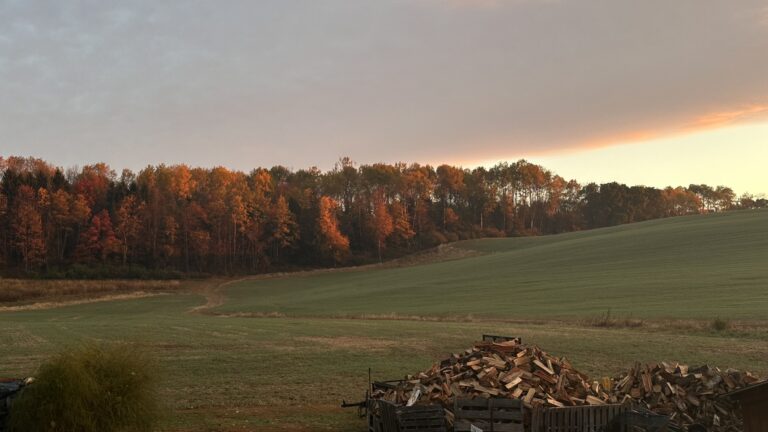 Welcome to Autumn | A Letter to My Favorite Season