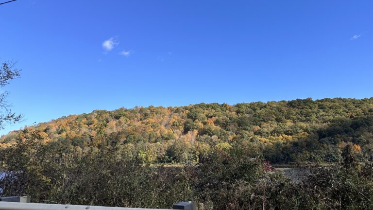 The Season That Reminds Us to Let Go
